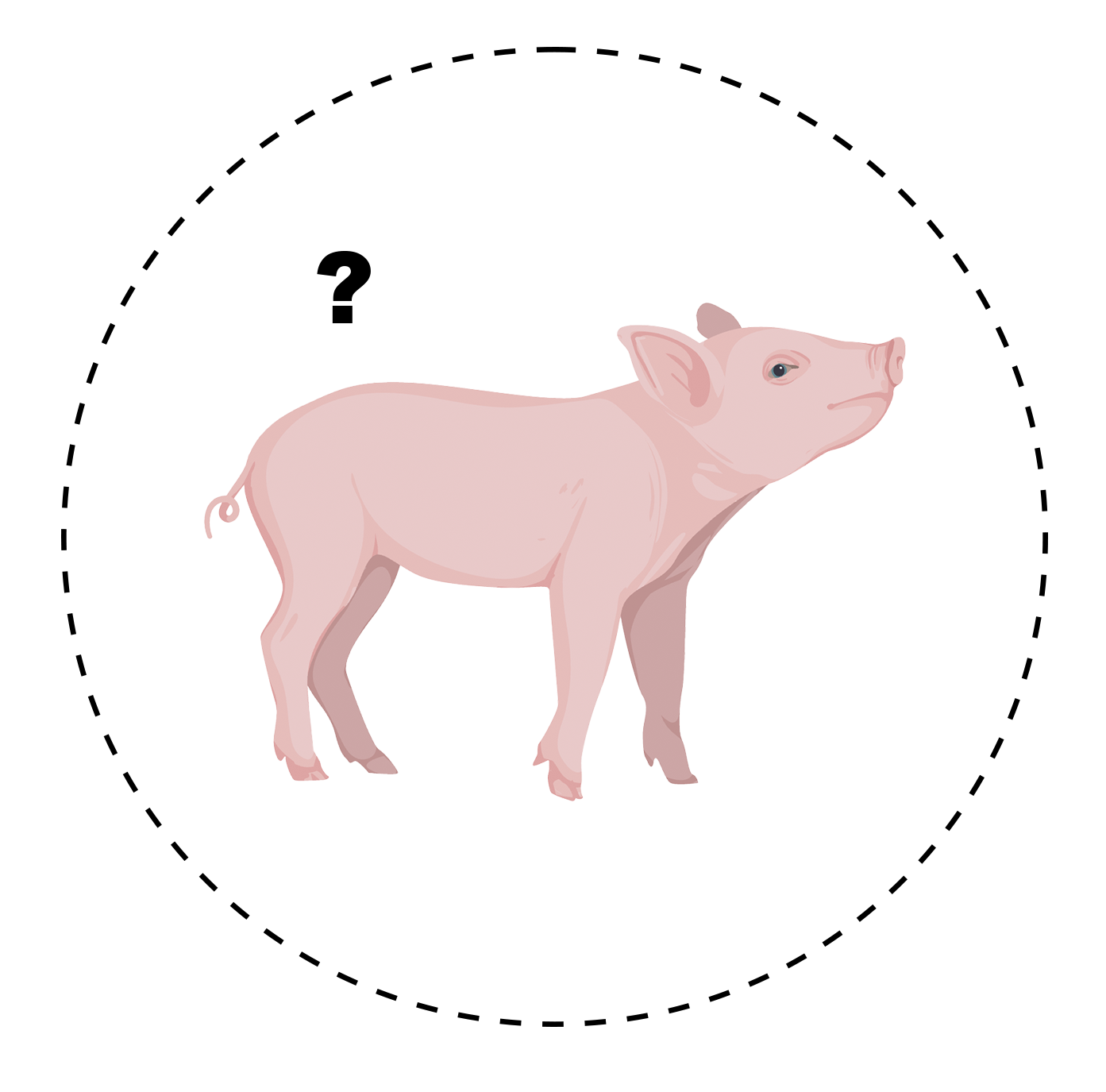 pig-in-a-circle Pig in a dashed circle with a question mark